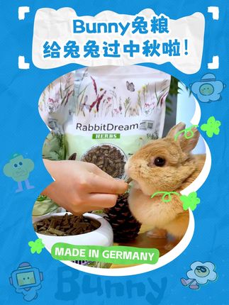 bunny给兔兔过中秋啦! #德国bunny #bunny兔粮 #兔粮 #中秋节