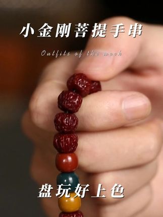 以心制物,以物传心。 #菩提 #文玩菩提 #文玩人 #文玩爱好者 #小金刚菩提手串 @抖音小助手