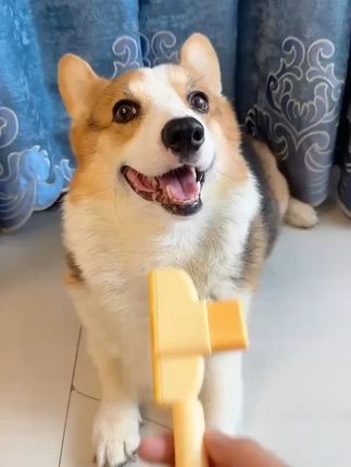 猫咪狗狗梳子去浮毛神器宠物自洁针排梳长短毛除毛专用清理梳毛刷#刷子  #梳毛刷  #宠物梳子  #清理梳子  #猫梳