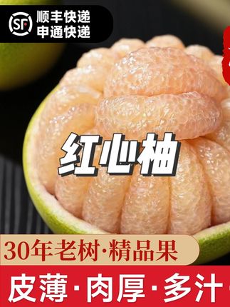 福建仙游正宗度尾文旦柚红心柚当季新鲜果园现摘水果 #红心柚子 #红心柚子特别甜 #红心柚 #红心柚子真好吃 #红心柚的营养价值及功效