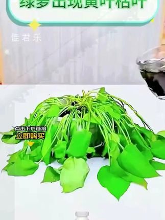 非常适合不爱施肥的你,肥效持久温和,快来试试吧!