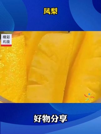 吃一次就爱上的海南金钻凤梨, 一口下去香甜爆汁,果香味巨浓郁,没吃过的一定要尝尝!!#大人孩子都爱吃 #凤梨 #新鲜应季水果 #好吃到停不下来 #海南金钻凤梨 G