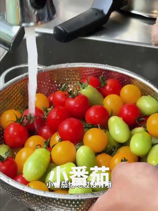 这个小番茄的口感跟以往吃的完全不一样!很好吃很好吃#好物推荐🔥 #种草 #vlog十亿流量扶持计划