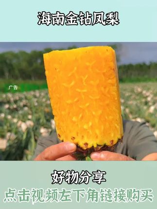 金钻凤梨不用泡盐水,可以直接生啃!一点不麻嘴,巨甜!水分多到像在嘴里榨汁!A #凤梨的正确削皮法 #菠萝菠萝甜 #金钻凤梨 #基地直发 #又香又甜又好吃
