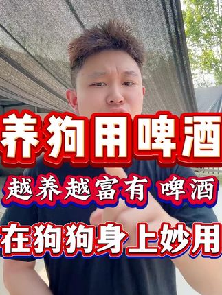 养狗用啤酒越养越富有 啤酒在狗狗身上妙用!#萌宠出道计划 #狗狗 #养狗经验分享 #新手养狗 #养狗人