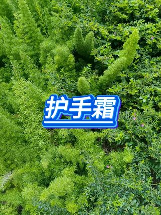 #护手霜 #秋冬护肤 #平价好物
