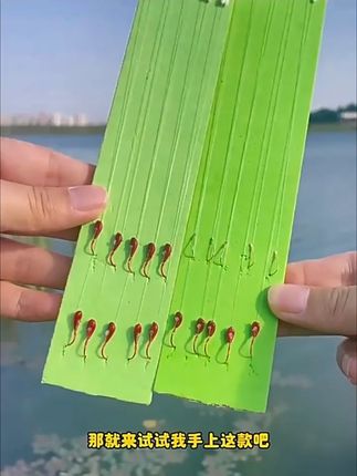 金海夕朝天钩新款双钩子线组钓鲫鲤鱼成品金袖批发专攻鲫鱼朝天钩金海夕朝天钩新款双钩子线组钓鲫鲤鱼成品金袖批发专攻鲫鱼朝天钩