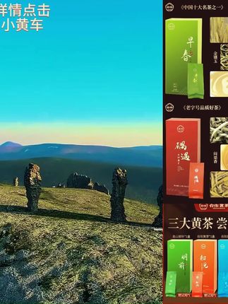 合作茶业黄茶君山银针尝鲜闷黄发酵茶叶送礼组合装岳阳