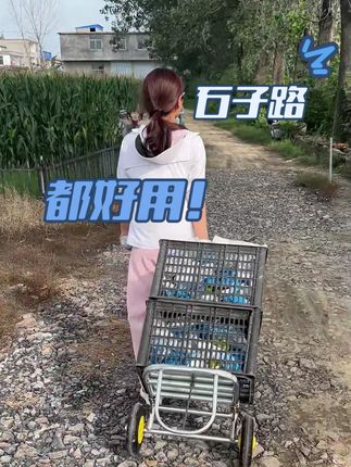 各种路况都好用!家用农用都可以,三合一多功能手推车,好用!#移动灌袋器 #多功能小推车 #秋收农具
