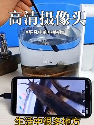量界内窥镜360度可旋转汽修专用高清摄像头柴汽发动机通用除积 #科技 #数码科技 #科技改变生活