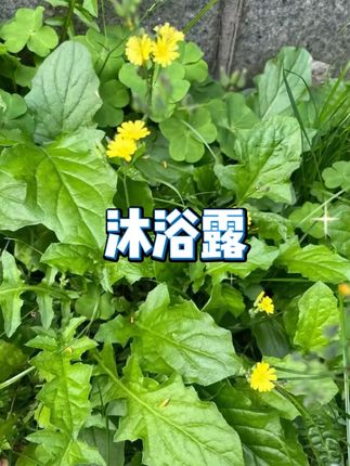 儿童洗发沐浴二合一 #温和配方 #大容量 #宝宝沐浴露