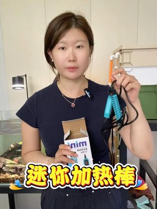 一款适合小鱼缸使用的迷你加热棒 #鱼缸加热棒 #水族器材 #新手养鱼 #水族用品 #加热棒
