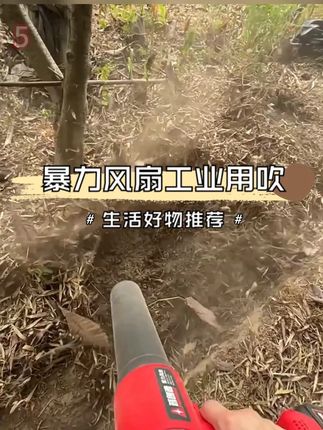 大功率鼓风机暴风扇工业吹风机除尘 拥有着超强的风力,强劲且持久,让您的工作更加轻松高效。采用进口电机,动力强劲且稳定,使用寿命更长久。设有过热保护装置,当温度过高时会自动断电,有效保护电机和风机。 #大功率 #鼓风机 #工业 #吹风机 #生产厂家批发