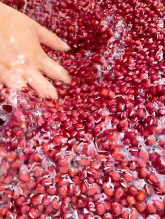 七夕佳节,怎能少了一份特别的心意?我们精心制作的巧果,选用优质原料,手工制作,保留最纯正的味道。 #健康生活  #节日甜点  #健康零食  #巧果  #饽花