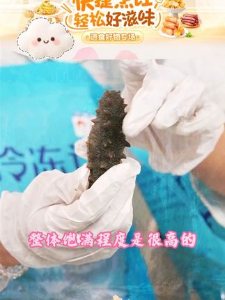 【辽参】星海湾冷冻海参26-30头/32-36头/38-42 #辽参 #海参 #冻品 #星海湾 #好物推荐