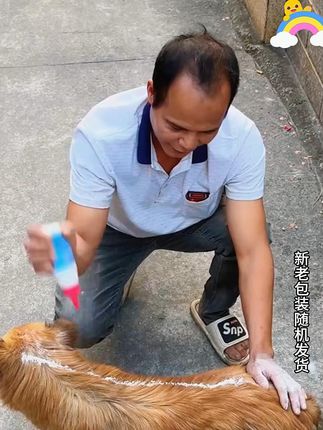 给狗狗喷一喷,养狗轻松省心 #养狗人 #养狗经验分享 #养狗必备