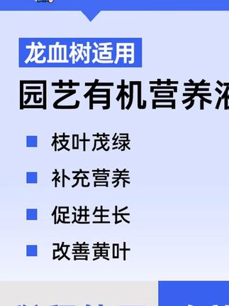 龙血树是喜水喜肥的大胃王,生长需要大量养分,养分不够就黄叶枯叶卷边焦尖 #绿植推荐# 绿植优选 #龙血树 #龙血树是喜水喜肥的大胃王