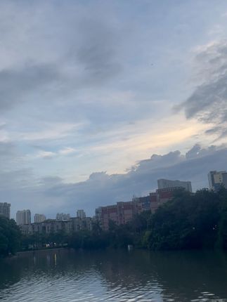 龙口粉丝,越吃越好吃!#龙口粉丝 #闽南美食 #闽南语#厦门 #泉州