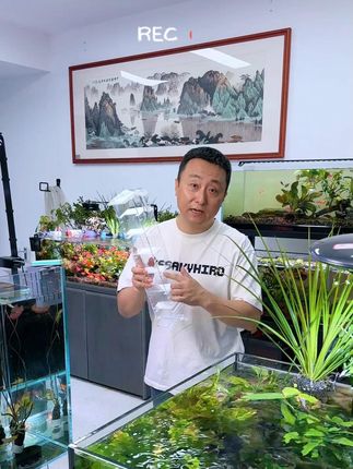 #养鱼日记 #鱼缸里的大自然 #鱼缸过滤 #水族用品 #滴流盒过滤