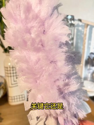 自从家里入手了这个除尘掸,家里的沙发,床头柜子,边角桌子台面都扫的干干净净#除尘掸 #静电除尘掸子 h