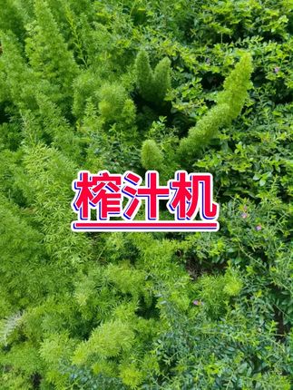 #榨汁机 #无线便携 #家用电器