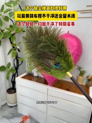 这个除尘掸真的很好用,以前用抹布擦不干净还会留水渍,这个轻轻一扫就干净了,特别省事!#居家好物 #除尘掸 #生活好帮手 z
