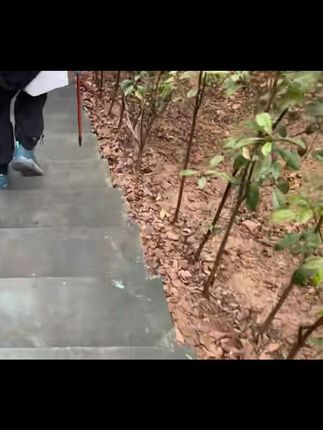 #酸梅汤#夏季养生#养生