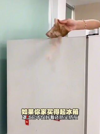 家里有冰箱的,可以试试这个防尘罩#冰箱防尘盖布#家居好物