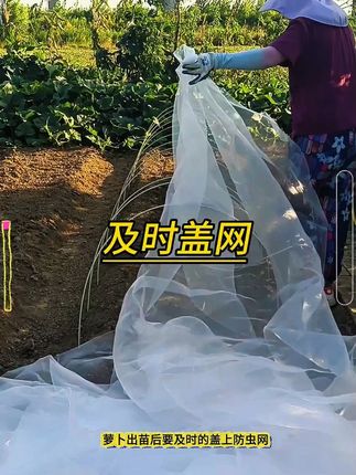 一定要及时盖上 # 防虫网