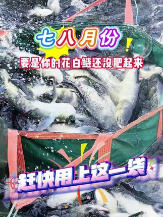 #鱼虾蟹养殖 #花白鲢养殖 #花白鲢肥水 #鱼塘肥水 #水产人