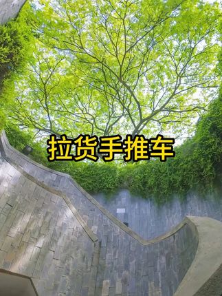小推车拉货手推车搬运车平板车拖车折叠便携小拉车快递手拉车#搬运车 #移动小推车 #手推车搬运车 #拉货手拉车可折叠 #家用小推车拉货