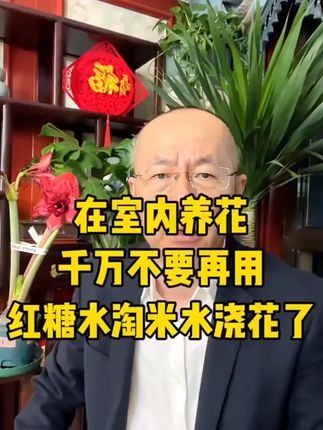 【6袋装】特质骨粉花肥料花卉有机肥高磷钙促花果牛骨粉末