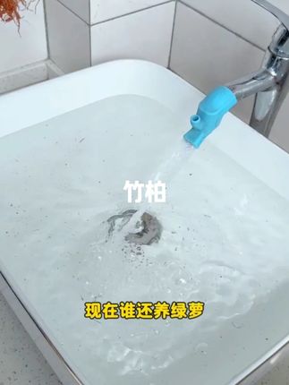 #水培竹柏 #水培绿植 #绿植 #好物分享 #竹柏
