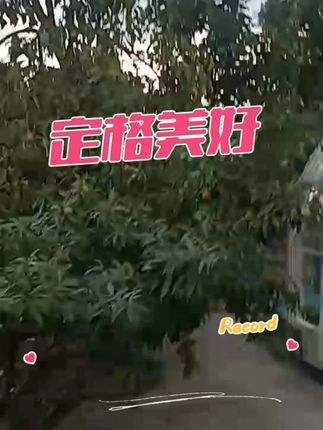 风吹树飘 是的