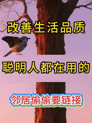 防尘布遮盖布沙发床防灰尘遮灰布家具家用沙发遮盖床罩防尘盖 #防尘布 #沙发罩 #床罩 #家具防尘罩 #家用遮盖布