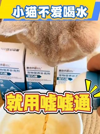 小猫咪不爱喝水就用嘘嘘通帮忙! #猫尿闭 #猫尿闭怎么治 #猫尿闭多喝水 #全抖音都在晒花式过暑假 #打开暑假的100种方式