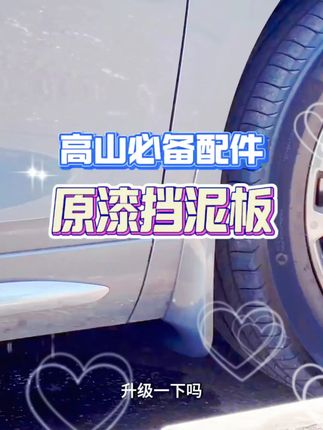 远离泥浆砂石困扰保护车身漆面 高山原漆挡泥板了解一下 #高山8 #车品好物分享 #魏牌全新高山
