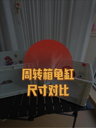 60缸比40缸大了一倍哦 给大家做一下参考#新手养鱼 #养鱼日记 #养龟日常