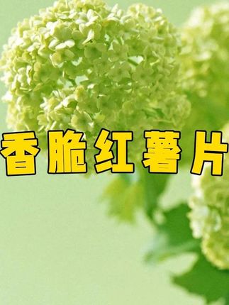 #追剧小零食 #零食推荐 #红薯片 #超便宜超划算