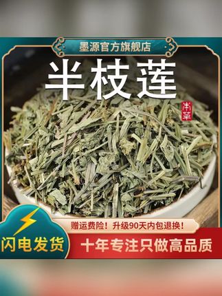 半枝莲新鲜半支莲非野生韩信草和搭白百花蛇舌草铁树叶 #半枝莲 #半枝莲白花蛇舌草 #半枝莲和半边莲区别 #半枝莲泡水