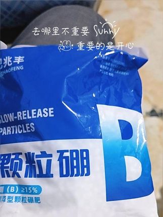 种油菜注意了!补硼用颗粒硼肥,营养均衡,肥效长 #颗粒硼肥 #油菜肥料配方 #硼肥的使用 #油菜肥料 #油菜种植管理