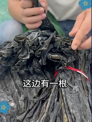 霞浦源头工厂,无泥无沙不包盐,煲汤肉熟海带软糯!#霞浦海带之乡 、#海带干 、#源头实力厂家 、#海带头 、#厚海带 d