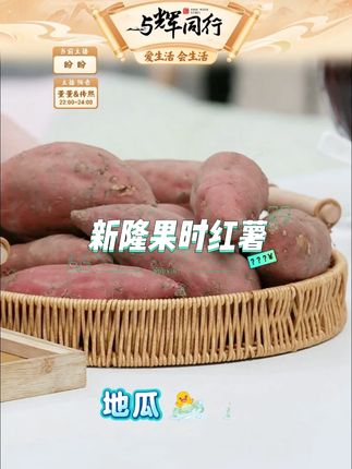 【新隆果时】海南澄迈桥头地瓜粉糯香甜红薯番薯#新隆果时 #新隆果时红薯 #地瓜 #红薯番薯 #粉糯香甜
