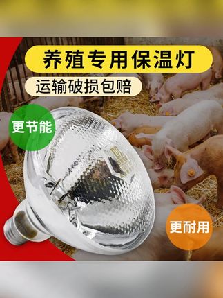 一灯多用全舍覆盖!360°照射范围广,猪牛羊鸡通用,育雏育幼全程陪伴~ #多功能保温灯 #畜禽养殖 #育雏灯 #养猪设备 #养鸡神器