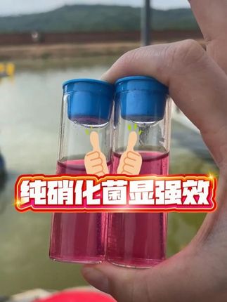 用硝化菌控亚盐#亚盐 #鱼塘 #水产 #鱼耀
