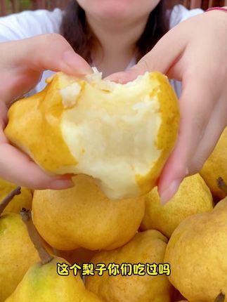 这样的梨子吃过吗?一口软糯,两口香甜爆汁,放软后软软糯糯香甜好吃!烟台正宗的#中华丑梨 入口即化冰淇淋的口感!来看看吧!#优质农产品 #现摘现发新鲜到家