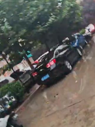 【养宠必备】撸猫手套清洁宠物猫咪狗用品浮毛猫咪掉毛季除猫毛狗毛#手套 #撸猫手套 #撸猫手套推荐 #撸猫手套分享 #撸猫手套种草