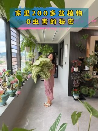 带你们看看我家养了200多盆植物0虫害的秘?密,养花人必知 #养花小知识 #防虫小妙招 #花卉绿植 #我的阳台小花园 #爱生活爱养花