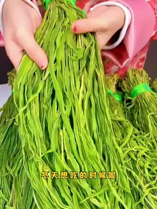 【贡菜种子】四季种植盆栽地栽阳台小院种植#贡菜种子 #种植小技巧 #种植