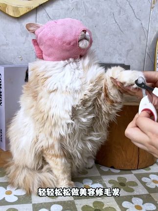 猫咪防咬头套,有了它随便给猫剪指甲啦#新手养猫#防咬嘴套#宠物用品